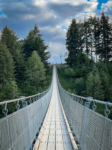 A Hanging Bridge In The Forest · Free Stock Photo