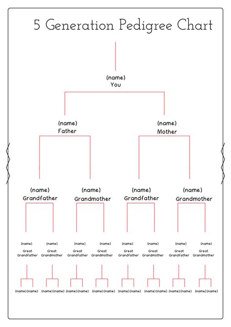 Printable Five Generation Ancestor Chart