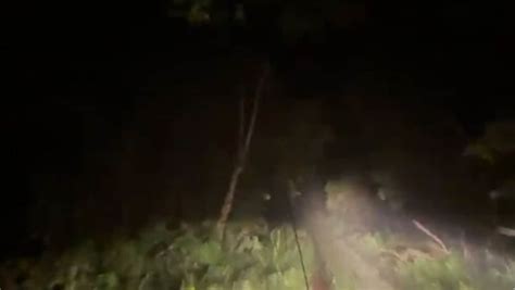 Forest Official Shares Incredible Video Of Night Patrolling Amid Heavy