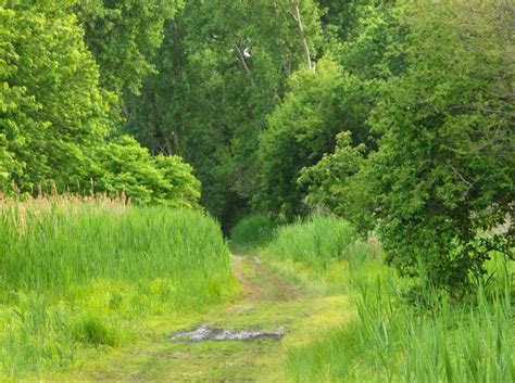 We did not find results for: Sandusky, Ohio Campground | Sandusky / Bayshore KOA