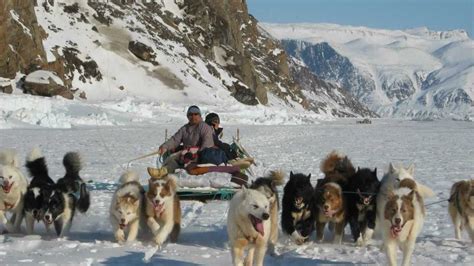 Dog Sledging In Northgreenland With Inuits Youtube