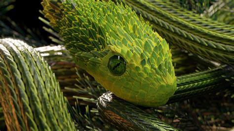 Download Wallpaper 2560x1440 Snake Green Reptile Scales 3d