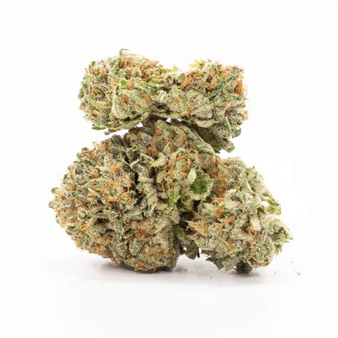 Purple Kush Strain Cannabismo Buy Weed Online Canada Dispensary