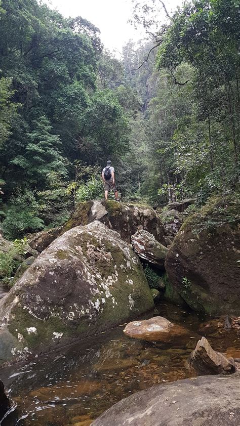 Steventure Gerringong Falls Reaching The Bottom