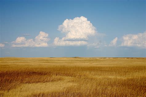 The Wide Open Prairie
