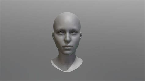 Loomis Heads A 3D Model Collection By Ediri Ediri Sketchfab