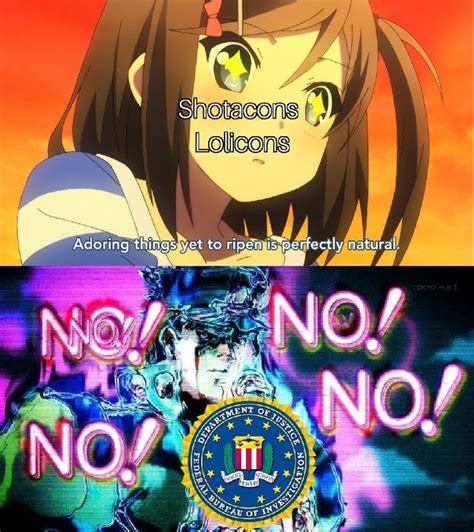 It is a daily driver on messaging board website like 4chan or reddit and also on image sharing sites like 9gag. FBI OPEN UP : Animemes