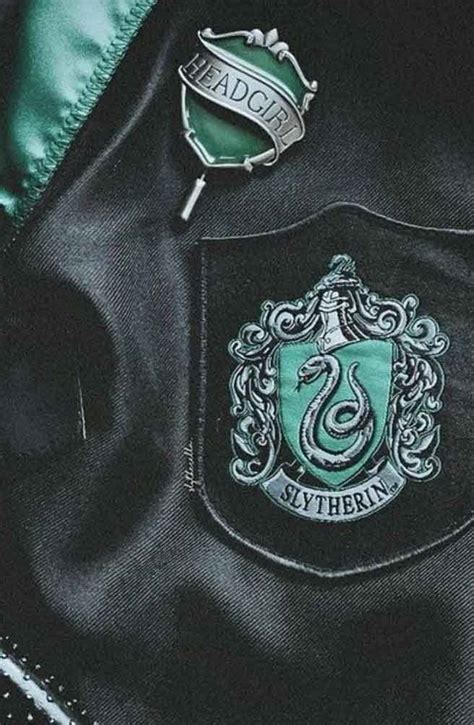 There Is A Sly Crest On The Back Of A Black Jacket With Green Trims