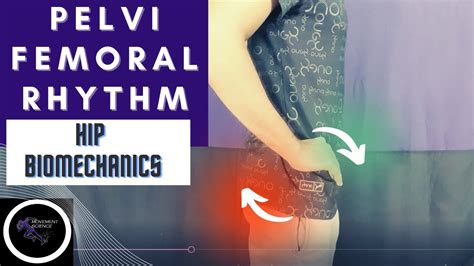 Pelvifemoral Rhythm Open Close Chain Hip Joint Complex Biomechanics