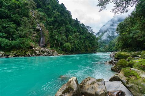 Dive In The Rainforest In Yunnan Cgtn