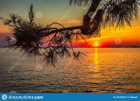 Sea Landscape At Sunset From Primosten Town A Popular Tourist D Stock