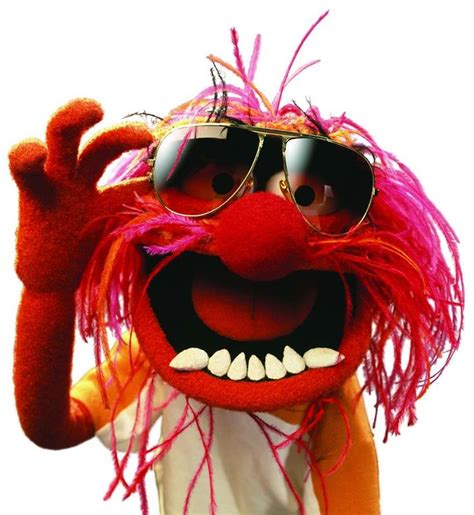 The Muppet Is Wearing Sunglasses And Has Pink Hair On His Head With