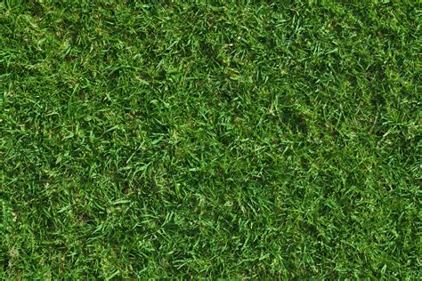 High Resolution Seamless Textures Green Lush Grass Texture