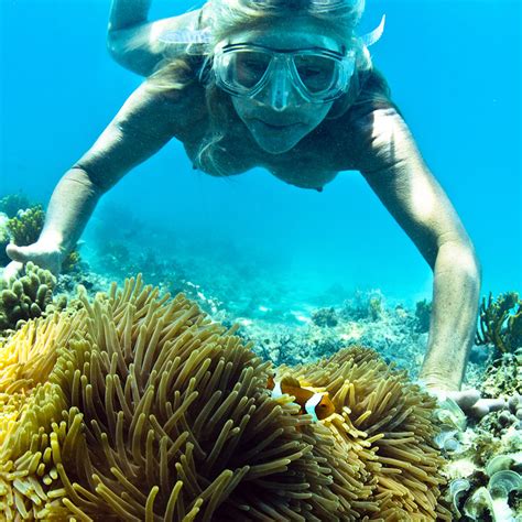 Upolu Reef Free Diving No Strobes No Tanks No Bikini Top Flickr