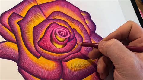 Draw A Rose The Easiest Way With Colored Pencil And Caliart Markers