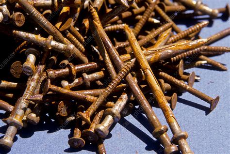 Rusty Nails Stock Image C0221176 Science Photo Library