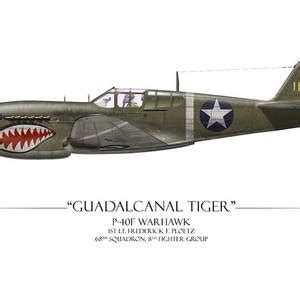 Flying Tiger P 40 Warhawk Map Background Painting By Craig Tinder