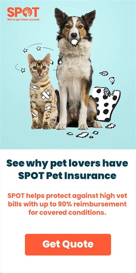 Get Your 30 Second Pet Insurance Quote Today Pet Insurance Quotes
