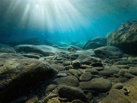 Ocean Rocks On Sea Bed Underwater Image Free Photo