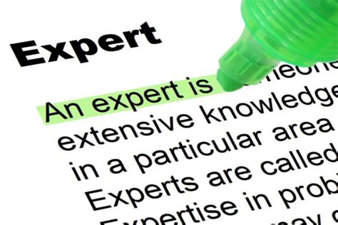 Expert - Highlighted Words and Phrases