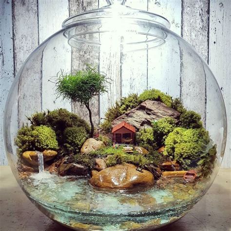 Pin On Terrariums Aquariums And Water Fountains