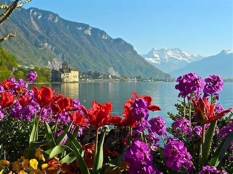 Lake Geneva Switzerland Voy