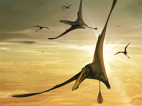 Dinosaur Pterosaur