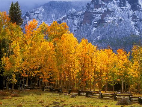 Free Download The High Country Colorado Picture Fall In The High