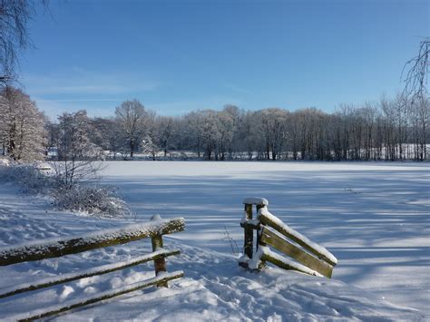 Free Images Landscape Tree Snow Winter Lake Frost Pond Ice