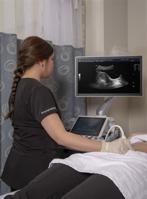 Ultrasound Tech Salary In Dallas Texas Ling Mull