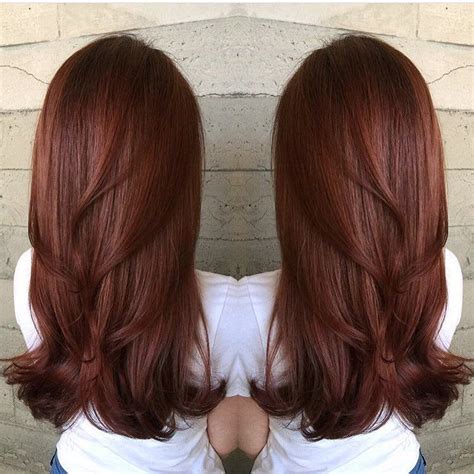 Hair Color Auburn Brown Hair Colors Brunette Hair Color Redish Brown