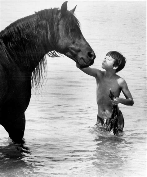 While traveling with his father, young alec becomes fascinated by a mysterious arabian stallion that is brought on board and stabled in the ship he is sailing on. The Black Stallion - vpro cinema - VPRO
