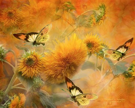 Sunflowers And Butterflies By Carol Cavalaris Redbubble