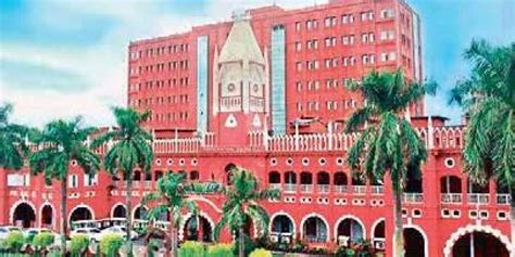 Orissa High Court Grants Bail On Condition Of Planting 100 Saplings E