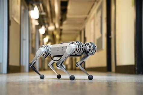 Mini Cheetah Is The First Four Legged Robot To Do A Backflip Mit News