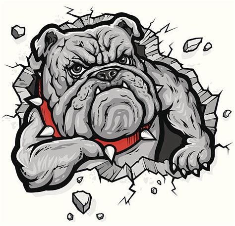 Mean Dog Illustrations Royalty Free Vector Graphics And Clip Art Istock