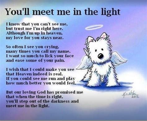 Pin on Rainbow Bridge & Pet Sympathy