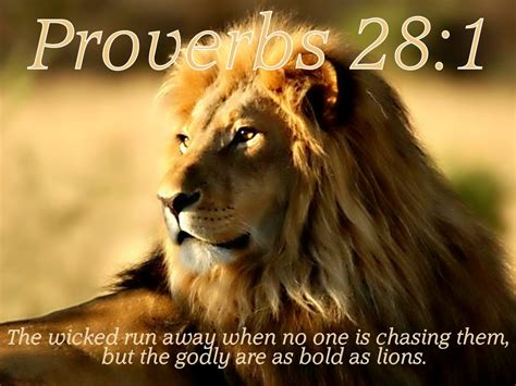 Grace Of Jesus Ministry The Righteous Are Bold As A Lionproverbs 281