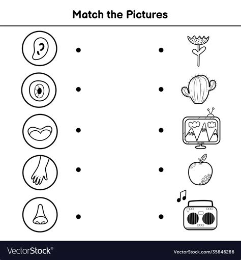 Five Senses Matching Game For Kids Match Vector Image
