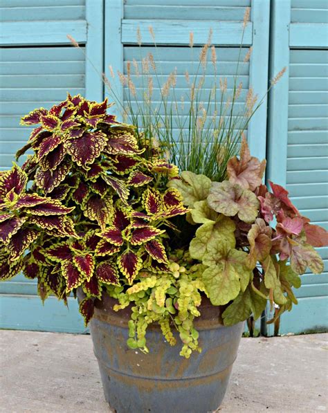 15 Gorgeous Fall Flower Pot Ideas To Enhance Your Home