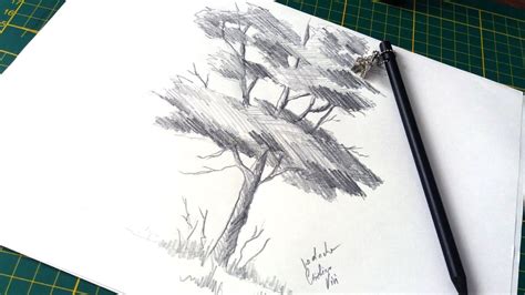 Desen In Creion Cu Copac Pe Hartie How To Draw A Tree In Pencil Youtube