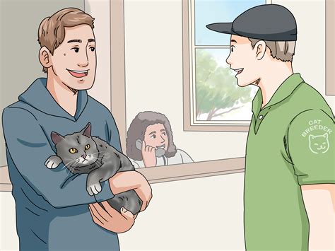 How To Identify A Manx 13 Steps With Pictures Wikihow