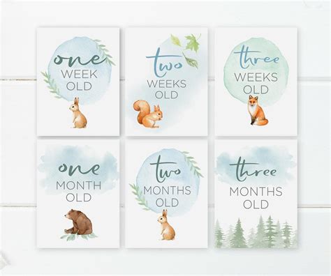 Baby showers are about marking the transition from pregnancy to parenthood, but they are also a wonderful opportunity to create mementos of the occasion for the new parents and child to treasure. Printable Woodland Milestone Cards Baby's First Year ...