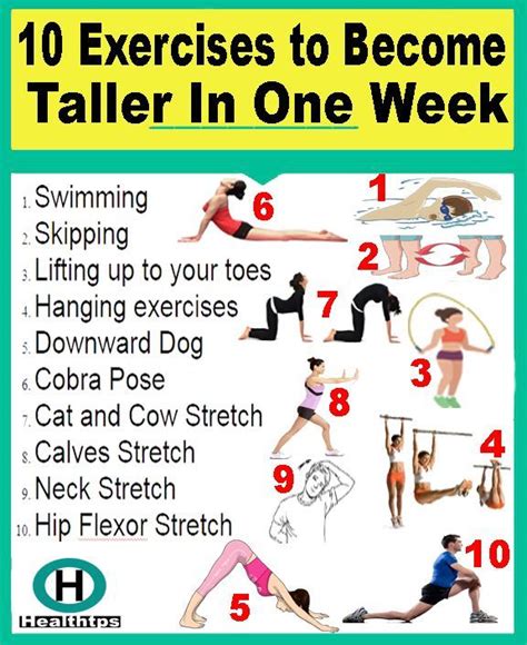 10 Exercises To Become Taller In One Week Full Body Gym Workout Weight Workout Plan Gym