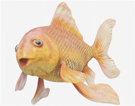 Goldfish Rigged 3d Asset Cgtrader