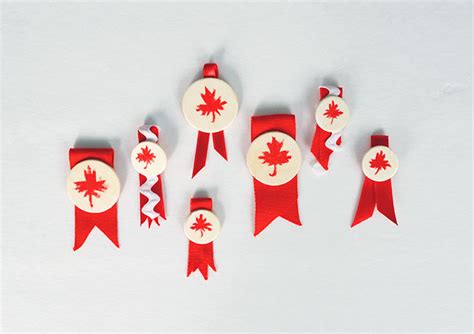 Snowdrop And Company Diy Canada Day Pins