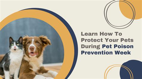 Learn How To Keep Your Pets Safe During Pet Poison Prevention Week