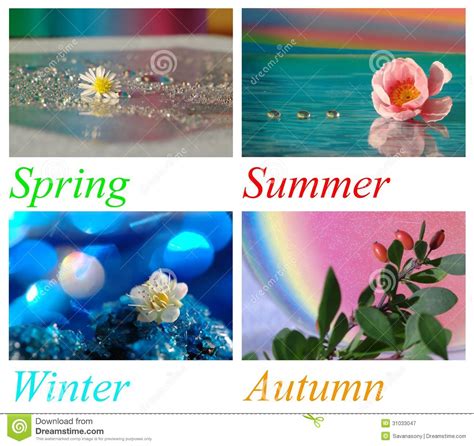 Collage With Four Seasons Stock Image Image Of Daisy 31033047