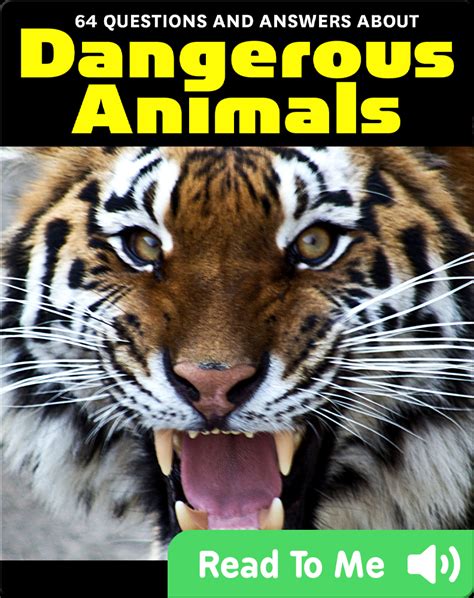 64 Questions And Answers About Dangerous Animals Childrens Book By