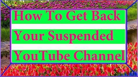 How To Properly Appeal To Get Your Suspendedterminated Youtube Channel